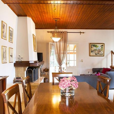 Ano LefkimmiGranis Family Houseアパートメント エクステリア 写真